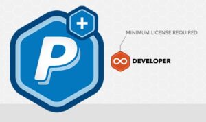Rocket Genius Gravity Forms Paypal Payments Standard Addon 3.4