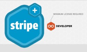 ROCKET GENIUS GRAVITY FORMS STRIPE ADDON 5.6.0