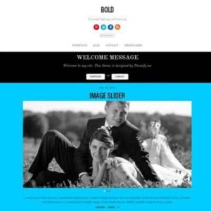 Themify Bold WordPress Theme 5.6.3