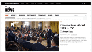 Theme Junkie – TrueNews 1.0.4