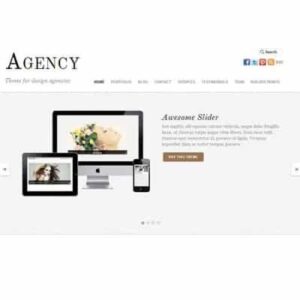 Themify Agency WordPress Theme 5.6.3