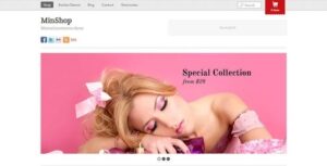 Themify Minshop WordPress Theme With Original Licence