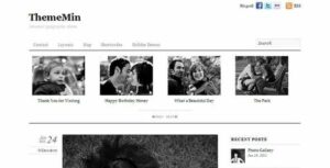 Themify Thememin WordPress Theme With Original Licence