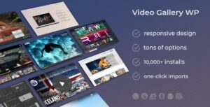 VIDEO GALLERY WORDPRESS PLUGIN /W YOUTUBE, VIMEO 12.16