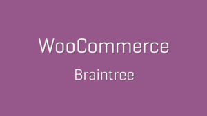 WooCommerce Braintree 3.3.3