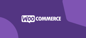 WooCommerce Brands 1.6.66