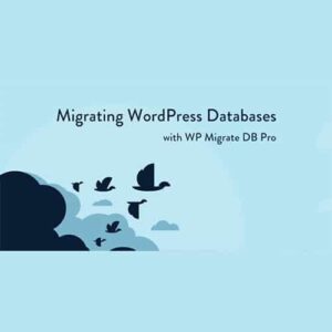 WP Migrate DB Pro Migrating WordPress Databases 2.6.10