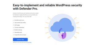 WPMU DEV WP Defender Pro 3.10.1