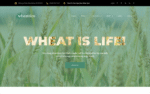 Wheattico – Crop Farm Responsive WordPress Theme 1.0.0