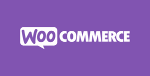 WooCommerce Google Product Feeds 11.0.7