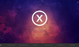 X The Theme Pro 10.2.9