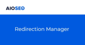 All In One SEO Pro Redirection Manager 1.3.4