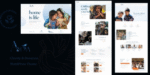 Anova – Charity & Donation WordPress Theme 1.0.1