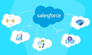 Everest Forms – Salesforce 1.0.0