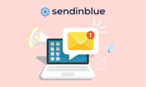 Everest Forms – Sendinblue 1.0.0