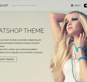 Themify Flatshop WooCommerce Theme 5.6.5