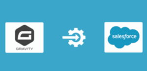Gravity Forms Salesforce 1.3.6