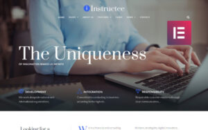 Instructee – Consulting Services WordPress Elementor Theme WordPress Theme 1.0.0