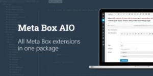 Meta Box AIO 1.24.3