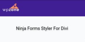 New Ninja Forms Styler For Divi 1.0.0