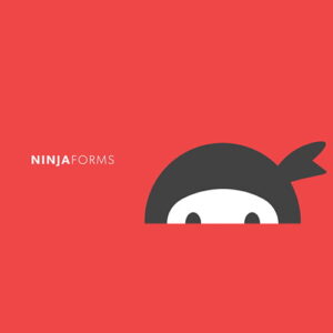Ninja Forms Advanced Datepicker 3.3.1