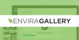 Envira Gallery Slideshow Addon 1.3.9
