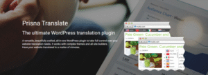Prisna Translate – Highly Customizable WordPress Translation Plugin 1.15.28