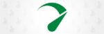 Seraphinite Accelerator 2.21.8