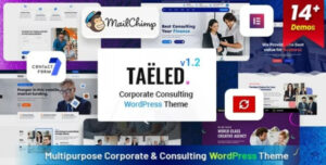 TAELED – Business Consulting 1.2