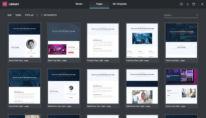 Template Hero – Store and Sell Page Template and Block Designs 2.0.3