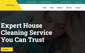 TishCleaning – Cleaning Services WordPress Theme 1.0.0