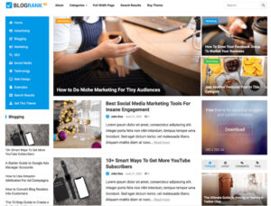 WP Enjoy – BlogRank Pro 1.0.0