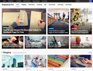 WP Enjoy – EnjoyGrid Pro 1.0.5