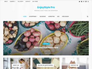 WP Enjoy – EnjoyStyle Pro 1.0.1