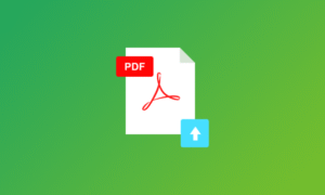 WPEverest – User Registration PDF Form Submission 1.1.3