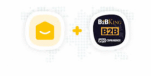 YayMail Addon for B2BKing 1.1